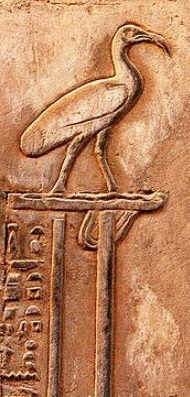 Thoth as Ibis, temple at Kom Ombo